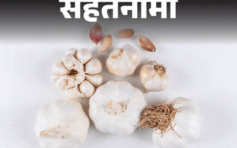 सेहतनामा- सर्दियों में लहसुन खाने के फायदे:  इम्यूनिटी करे मजबूत, हार्ट रखे दुरुस्त, डॉक्टर से जानिए खाने का सही समय और तरीका