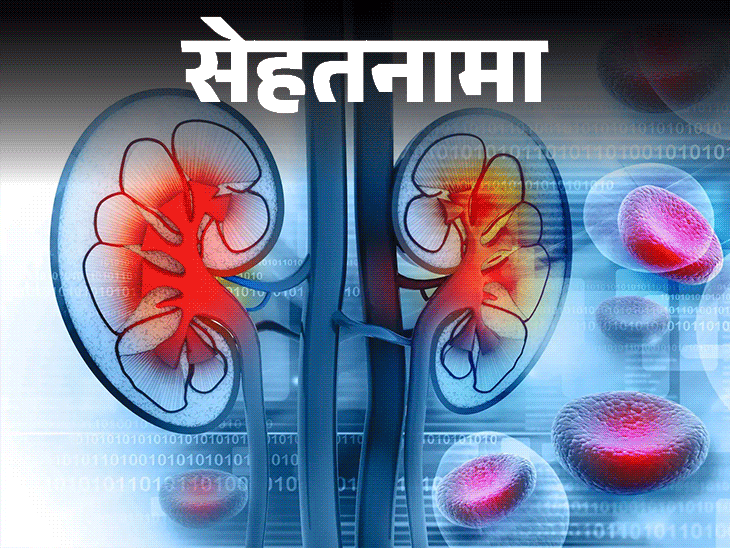 सेहतनामा- किडनी में समस्या तो शरीर देता ये 10 संकेत:  ये 8 बुरी आदतें हैं जिम्मेदार, डॉक्टर से जानें बचाव और सावधानियां
