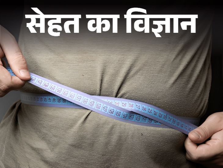 सेहतनामा- ओजेम्पिक जैसी दवाई का विकल्प हैं ये फूड्स:  प्राकृतिक तरीके से वजन करें कम, ये फूड हैं वेट लॉस में असरदार
