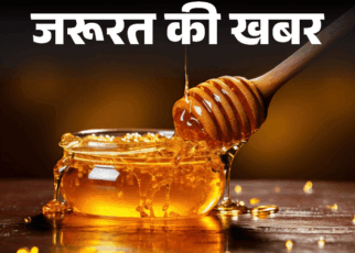 जरूरत की खबर- मिलावटी शहद से होती कई गंभीर बीमारियां:  खरीदते वक्त इन बातों का रखें ध्यान, जानें असली और मिलावटी में अंतर