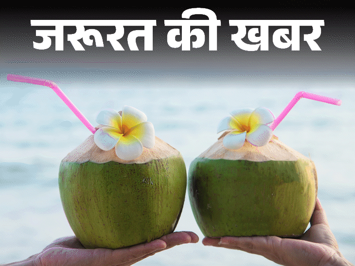 जरूरत की खबर- नारियल पानी पीने के 10 फायदे:  गर्मी के लिए है अमृत, न्यूट्रिशनिस्ट से जानें कितना पीना सुरक्षित और किन्हें नहीं पीना चाहिए