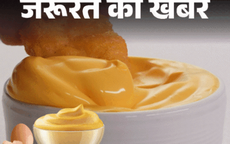 जरूरत की खबर- तमिलनाडु में कच्चे अंडे की मेयोनीज बैन:  इससे गंभीर बीमारियों का रिस्क, जानें घर पर कैसे बनाएं हेल्दी, सेफ मेयोनीज