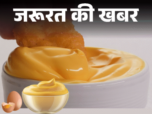 जरूरत की खबर- तमिलनाडु में कच्चे अंडे की मेयोनीज बैन:  इससे गंभीर बीमारियों का रिस्क, जानें घर पर कैसे बनाएं हेल्दी, सेफ मेयोनीज