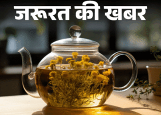 जरूरत की खबर- ये 9 हर्बल चाय हैं इम्यूनिटी बूस्टर:  वेट लॉस से लेकर इंफ्लेमेशन कम करने में मददगार, डॉक्टर से जानें इसके फायदे