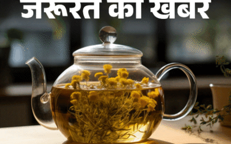 जरूरत की खबर- ये 9 हर्बल चाय हैं इम्यूनिटी बूस्टर:  वेट लॉस से लेकर इंफ्लेमेशन कम करने में मददगार, डॉक्टर से जानें इसके फायदे
