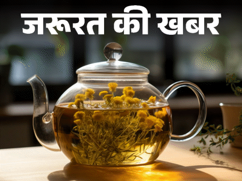 जरूरत की खबर- ये 9 हर्बल चाय हैं इम्यूनिटी बूस्टर: वेट लॉस से लेकर इंफ्लेमेशन कम करने में मददगार, डॉक्टर से जानें इसके फायदे जरूरत की खबर- ये 9 हर्बल चाय हैं इम्यूनिटी बूस्टर: वेट लॉस से लेकर इंफ्लेमेशन कम करने में मददगार, डॉक्टर से जानें इसके फायदे