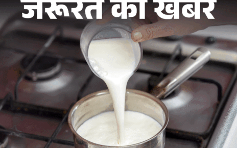 जरूरत की खबर- पैकेट वाला दूध उबालना फायदेमंद या नुकसानदायक:  जानें पैकेट वाले दूध को उबालने का वैज्ञानिक पहलू, एक्सपर्ट्स की राय और सही तरीका
