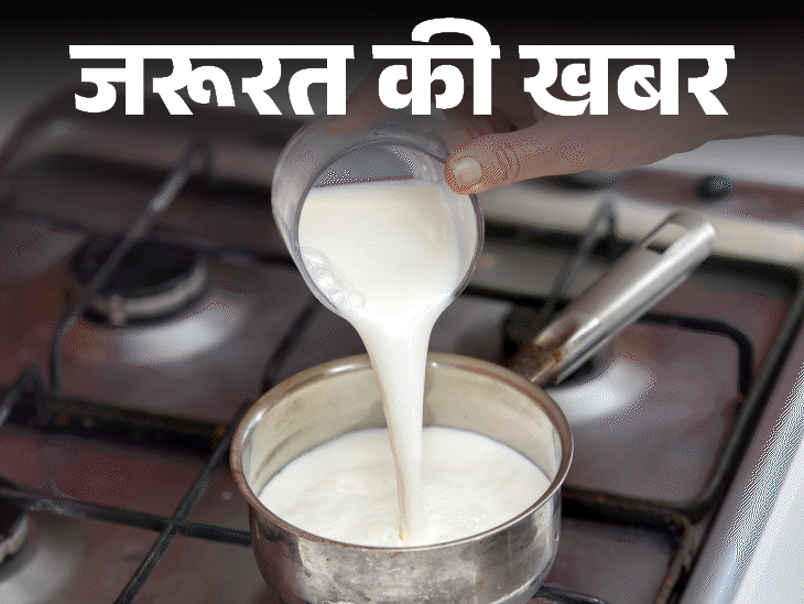 जरूरत की खबर- पैकेट वाला दूध उबालना फायदेमंद या नुकसानदायक:  जानें पैकेट वाले दूध को उबालने का वैज्ञानिक पहलू, एक्सपर्ट्स की राय और सही तरीका