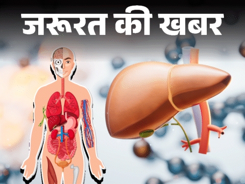 जरूरत की खबर- कोविड के बाद बढ़ रहे हेपेटाइटिस केसेज:  इसके लक्षणों को लेकर रहें सचेत, आसपास बीमारी फैले तो बरतें 8 सावधानियां