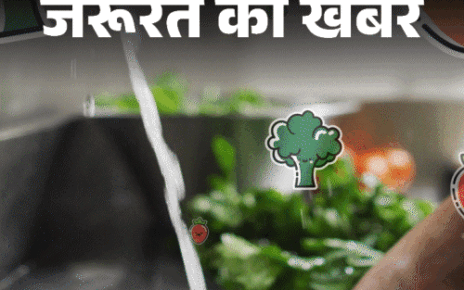 जरूरत की खबर- मानसून में बढ़ता इन्फेक्शन का रिस्क: डाइट में करें बदलाव, डाइटीशियन से जानें इम्यूनिटी बढ़ाने के लिए क्या खाएं जरूरत की खबर- मानसून में बढ़ता इन्फेक्शन का रिस्क: डाइट में करें बदलाव, डाइटीशियन से जानें इम्यूनिटी बढ़ाने के लिए क्या खाएं