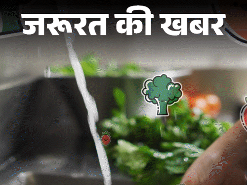 जरूरत की खबर- मानसून में बढ़ता इन्फेक्शन का रिस्क:  डाइट में करें बदलाव, डाइटीशियन से जानें इम्यूनिटी बढ़ाने के लिए क्या खाएं