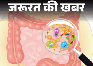 जरूरत की खबर- हमारे पेट के अंदर हैं अरबों बैक्टीरिया:  खाना ऐसा खाएं कि ये बैक्टीरिया खुश रहें, ये हैं 8 बेस्ट प्रोबायोटिक फूड