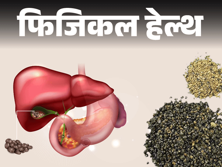 फिजिकल हेल्थ- मरीज के गॉल ब्लैडर से निकलीं 8125 पथरी:  इन 10 लोगों को स्टोन का रिस्क ज्यादा, डॉक्टर से जानें कारण व बचाव के तरीके