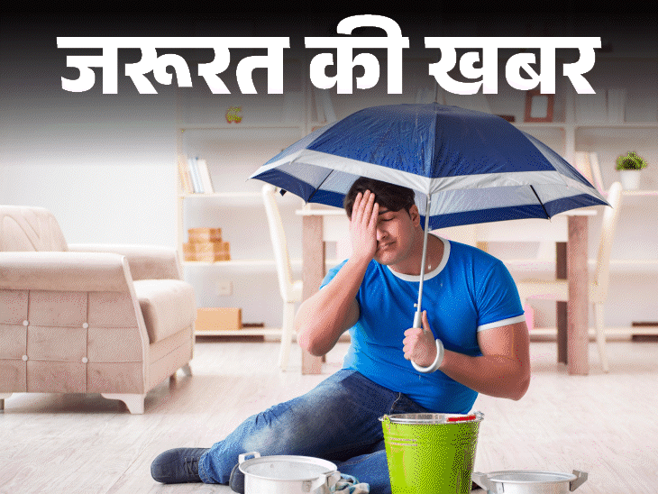 जरूरत की खबर- घर को नमी और सीलन से बचाएं:  बारिश शुरू होने से पहले करें ये 9 काम, फर्नीचर-दीवारें और छत रहेगी सुरक्षित