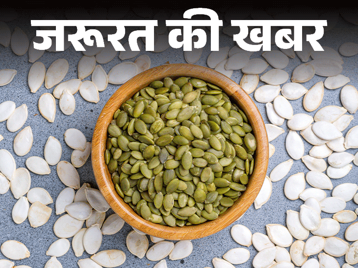 जरूरत की खबर- पंपकिन सीड्स सेहत के लिए वरदान:  स्पर्म क्वालिटी करे बेहतर, इंसोम्निया में राहत, जानें किसे नहीं खाना चाहिए
