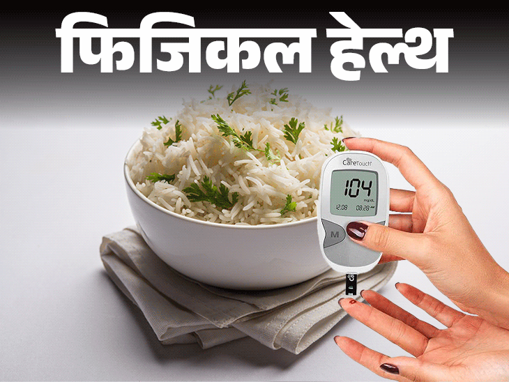फिजिकल हेल्थ- क्या चावल खाने से डायबिटीज होता है?: क्या चावल से बेहतर है रोटी, जानें मिथ और सच्चाई, इसके 8 हेल्थ बेनिफिट्स फिजिकल हेल्थ- क्या चावल खाने से डायबिटीज होता है?: क्या चावल से बेहतर है रोटी, जानें मिथ और सच्चाई, इसके 8 हेल्थ बेनिफिट्स