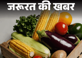 जरूरत की खबर- मानसून में बीमारियों से बचाएंगे ये सुपरफूड्स:  जानें इस मौसम में क्या खाने से करें परहेज, अपनाएं 5 हेल्दी आदतें