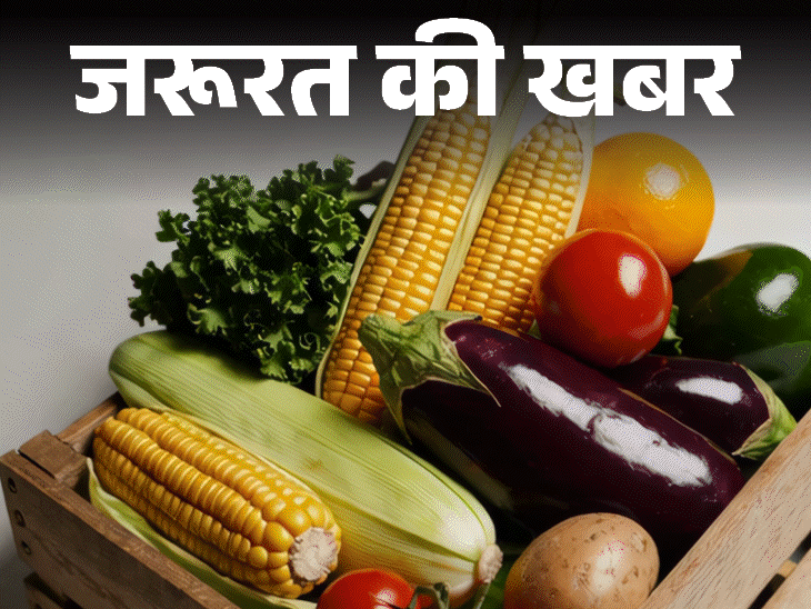 जरूरत की खबर- मानसून में बीमारियों से बचाएंगे ये सुपरफूड्स:  जानें इस मौसम में क्या खाने से करें परहेज, अपनाएं 5 हेल्दी आदतें