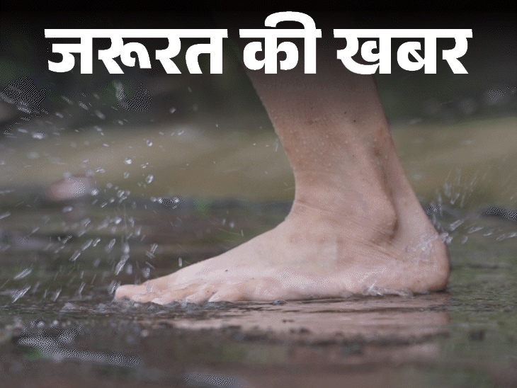 जरूरत की खबर- बारिश में फूट फंगल इन्फेक्शन का रिस्क:  इन 9 लक्षणों को न करें इग्नोर, डॉक्टर से जानें मानसून फूट केयर के 10 टिप्स