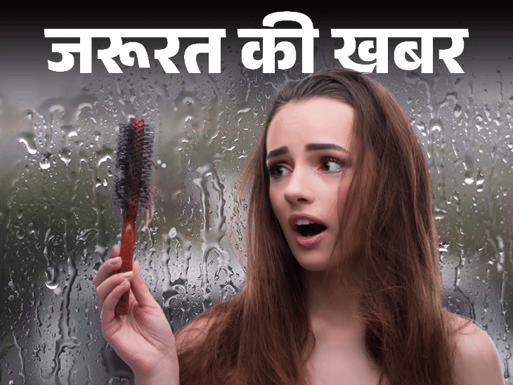 जरूरत की खबर- मानसून में हेयरफॉल बढ़ने के 5 कारण:  डर्मेटोलॉजिस्ट से जानें रोकने के 8 उपाय, खाने में शामिल करें बायोटिन और जिंक
