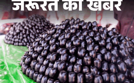 जरूरत की खबर- डायबिटीज में वरदान है जामुन:  5 चीजों के साथ कभी न खाएं, एक्सपर्ट से जानें इसके अद्भुत फायदे, खाने का सही समय