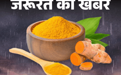 जरूरत की खबर- मानसून में इम्यूनिटी बढ़ाएंगी ये 8 हर्ब्स:  डाइट में करें शामिल, न्यूट्रिशनिस्ट से जानें फायदे और खाने का तरीका