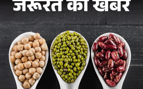 जरूरत की खबर- 7 बेस्ट प्रोटीन रिच बीन्स:  विटामिन्स-मिनरल्स का स्रोत, मसल्स बनाने में मददगार, जानें इनकी न्यूट्रिशनल वैल्यू