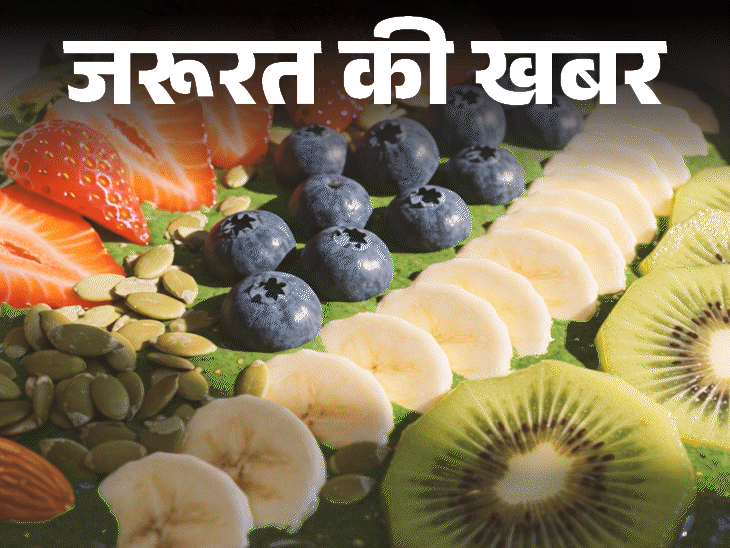 जरूरत की खबर- एंटीऑक्सिडेंट के लिए खाएं ये चीजें: शार्प ब्रेन और मजबूत इम्यूनिटी के लिए जरूरी, जानें कब लेना चाहिए सप्लीमेंट जरूरत की खबर- एंटीऑक्सिडेंट के लिए खाएं ये चीजें: शार्प ब्रेन और मजबूत इम्यूनिटी के लिए जरूरी, जानें कब लेना चाहिए सप्लीमेंट