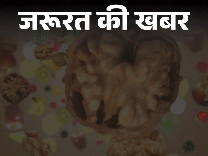 जरूरत की खबर- हेल्दी ब्रेन चाहिए, खाएं ये 14 चीजें:  शुगर और ट्रांस फैट ब्रेन के लिए खतरा, डॉक्टर से जानें 6 जरूरी सावधानियां