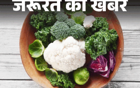 जरूरत की खबर- रोज 25 ग्राम फाइबर खाना जरूरी:  इसके 7 हेल्थ बेनिफिट्स, इन 15 सब्जियों में सबसे ज्यादा, जानें किसे नहीं खाना चाहिए