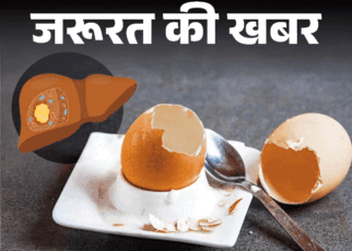 जरूरत की खबर- खराब अंडे से लिवर एब्सेस का रिस्क:  जानें क्या है ये बीमारी, कितनी खतरनाक, सही और खराब अंडे की पहचान कैसे करें