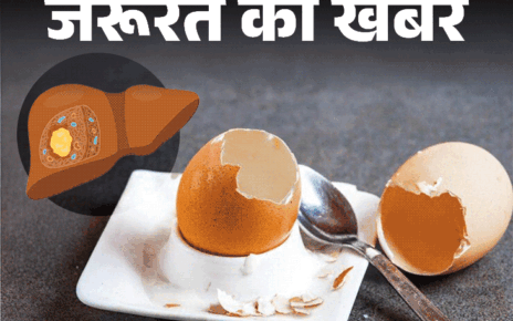 जरूरत की खबर- खराब अंडे से लिवर एब्सेस का रिस्क:  जानें क्या है ये बीमारी, कितनी खतरनाक, सही और खराब अंडे की पहचान कैसे करें