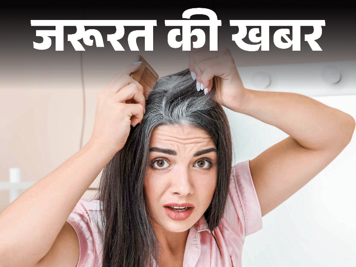 जरूरत की खबर- समय से पहले सफेद हो रहे बाल:  हो सकती है जरूरी विटामिन्स, मिनरल्स की कमी, जानें हेल्दी बालों के लिए क्या खाएं