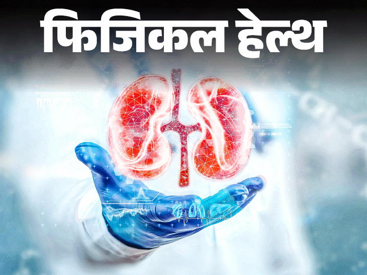 फिजिकल हेल्थ- भारत में 13 करोड़ लोगों की किडनी खराब:  तेजी से क्यों बढ़ रहे मामले, डॉक्टर से जानें सभी जरूरी सवालों के जवाब