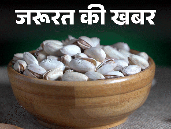 जरूरत की खबर- पिस्ता खाने के 11 फायदे:  वजन घटाए, इम्यूनिटी बढ़ाए, कोलेस्ट्रॉल कम करे, न्यूट्रिशनिस्ट से जानें किसे नहीं खाना चाहिए