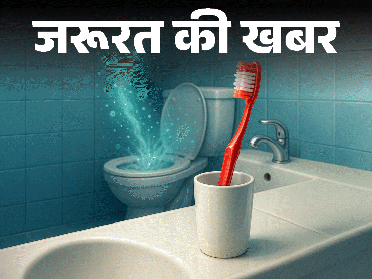 जरूरत की खबर- क्या आप टूथब्रश बाथरूम में रखते हैं:  वहां हैं हजारों बैक्टीरिया, बायलॉजिस्ट से जानें टूथब्रश हाइजीन के 10 टिप्स