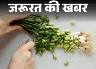 जरूरत की खबर- हरी प्याज के 10 हेल्थ बेनिफिट्स:  कैल्शियम से भरपूर, पाचन सुधारे, इम्यूनिटी बढ़ाए, जानें किन्हें नहीं खानी चाहिए