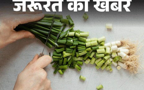 जरूरत की खबर- हरी प्याज के 10 हेल्थ बेनिफिट्स:  कैल्शियम से भरपूर, पाचन सुधारे, इम्यूनिटी बढ़ाए, जानें किन्हें नहीं खानी चाहिए