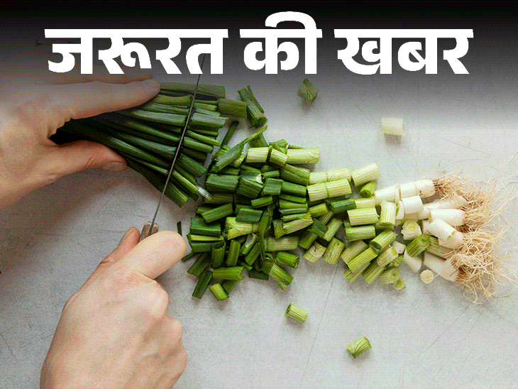 जरूरत की खबर- हरी प्याज के 10 हेल्थ बेनिफिट्स:  कैल्शियम से भरपूर, पाचन सुधारे, इम्यूनिटी बढ़ाए, जानें किन्हें नहीं खानी चाहिए