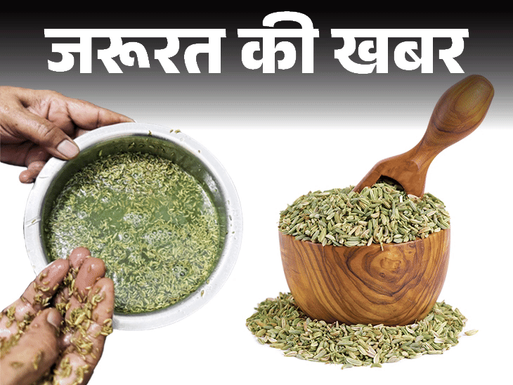 जरूरत की खबर- 900 किलो मिलावटी सौंफ बरामद:  आपकी सौंफ में मिलावट तो नहीं, 5 तरीकों से चेक करें, खरीदते हुए 8 बातें ध्यान रखें