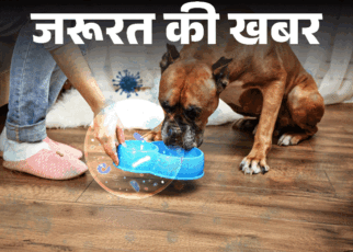 जरूरत की खबर- यहां हैं टॉयलेट सीट से ज्यादा बैक्टीरिया:  बढ़ाते बीमारियों का रिस्क, रेगुलर सफाई जरूरी, 10 हेल्दी हाइजीन हैबिट्स