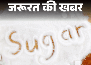 जरूरत की खबर- व्हाइट या ब्राउन शुगर, कौन-सी बेहतर:  क्या डायबिटिक लोगों के लिए ब्राउन शुगर सेफ है, जानें दोनों के फायदे-नुकसान