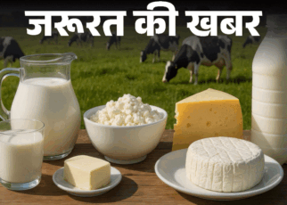 जरूरत की खबर- डेयरी प्रोडक्ट सेहत के लिए कितना फायदेमंद:  जानें इनकी न्यूट्रिशनल वैल्यू, फायदे-नुकसान, किन्हें नहीं खाना चाहिए