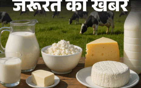 जरूरत की खबर- डेयरी प्रोडक्ट सेहत के लिए कितना फायदेमंद:  जानें इनकी न्यूट्रिशनल वैल्यू, फायदे-नुकसान, किन्हें नहीं खाना चाहिए