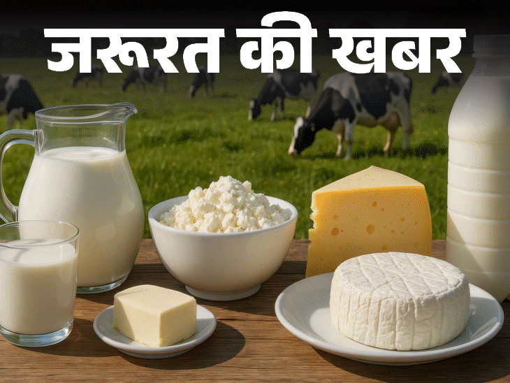 जरूरत की खबर- डेयरी प्रोडक्ट सेहत के लिए कितना फायदेमंद: जानें इनकी न्यूट्रिशनल वैल्यू, फायदे-नुकसान, किन्हें नहीं खाना चाहिए जरूरत की खबर- डेयरी प्रोडक्ट सेहत के लिए कितना फायदेमंद: जानें इनकी न्यूट्रिशनल वैल्यू, फायदे-नुकसान, किन्हें नहीं खाना चाहिए