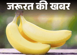 जरूरत की खबर- केला बढ़ाता है गुड बैक्टीरिया:  पोटेशियम का बेस्ट सोर्स, रोज एक केला खाएं, न्यूट्रिशनिस्ट से जानें किसे नहीं खाना चाहिए