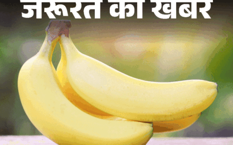 जरूरत की खबर- केला बढ़ाता है गुड बैक्टीरिया:  पोटेशियम का बेस्ट सोर्स, रोज एक केला खाएं, न्यूट्रिशनिस्ट से जानें किसे नहीं खाना चाहिए