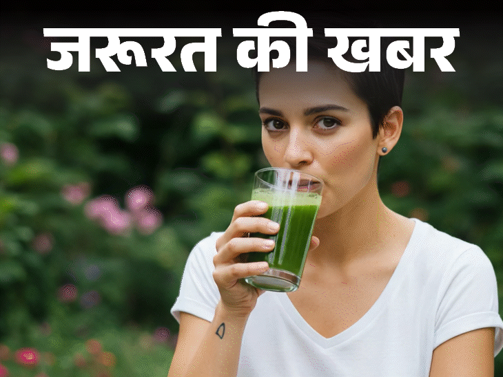 जरूरत की खबर- एलोवेरा जूस के 11 हेल्थ बेनिफिट्स: डॉक्टर से जानें किन्हें नहीं पीना चाहिए, खरीदते हुए बरतें ये जरूरी सावधानियां जरूरत की खबर- एलोवेरा जूस के 11 हेल्थ बेनिफिट्स: डॉक्टर से जानें किन्हें नहीं पीना चाहिए, खरीदते हुए बरतें ये जरूरी सावधानियां