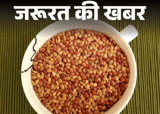 जरूरत की खबर- सेहत का खजाना कुलथी दाल:  प्रोटीन का बेस्ट सोर्स, कब्ज में फायदेमंद, जानें इसकी न्यूट्रिशनल वैल्यू, हेल्थ बेनिफिट्स