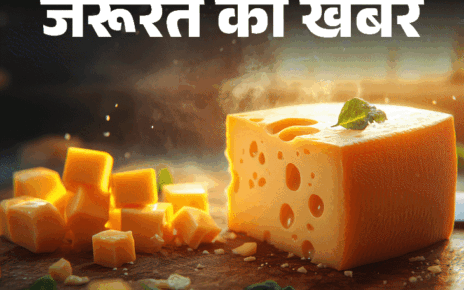 जरूरत की खबर- क्या चीज सेहत के लिए फायदेमंद है:  डाइटीशियन से जानें इसकी न्यूट्रिशनल वैल्यू, हेल्थ बेनिफिट्स, किसे नहीं खाना चाहिए